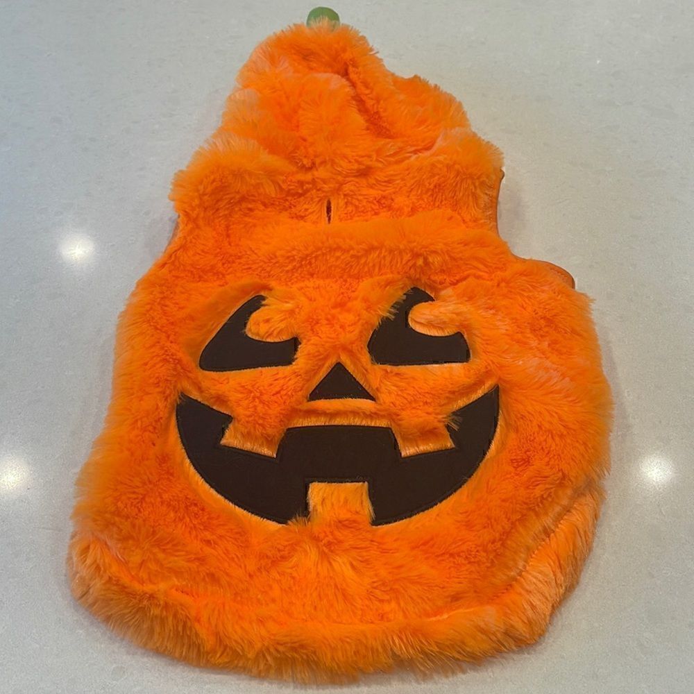 Dog pumpkin costume small med dog see measurements. Be ready!